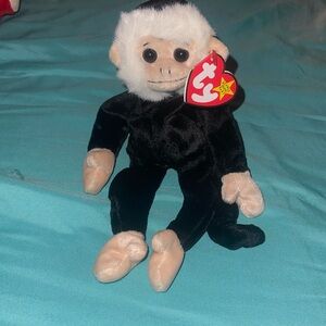 Mooch the beanie baby